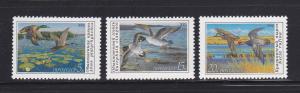 Russia 5906-5908 Set MNH Birds, Ducks (A)