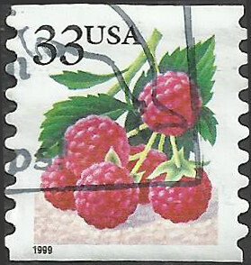 # 3303 USED RASPBERRIES