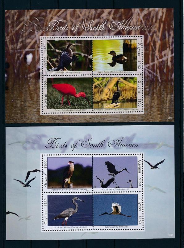 [29433] Guyana 2012 Birds Vögel Oiseaux Ucelli  MNH Sheet