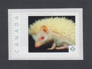 ALBINO HEDGEHOG = postage stamp MNH Canada 2014 [pp9h2/1]