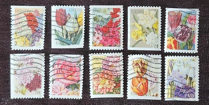 US Scott # 5042-5051;  ten used (49c) forever Botanical Art, 2016; VF/XF;off pp