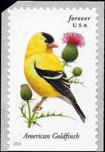 4890 Mint,OG,NH... SCV $1.00