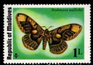 Maldive Islands - #584 Butterflies - MNH