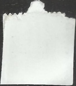 # 4142 USED FLORIDA PANTHER