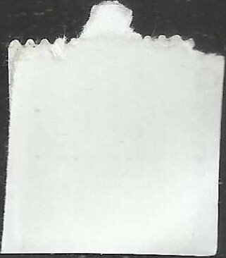 # 4142 USED FLORIDA PANTHER