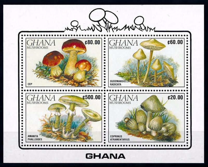 [65750] Ghana 1990 Mushrooms Pilze Champignons Souvenir Sheet MNH