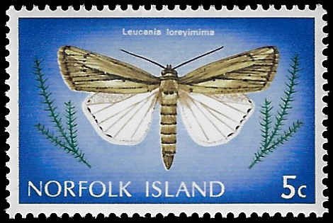 Norfolk Island #205 MNH; Butterfly 5c (1976)