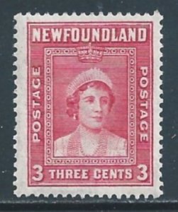 Newfoundland #246 MH 3c Queen Elizabeth