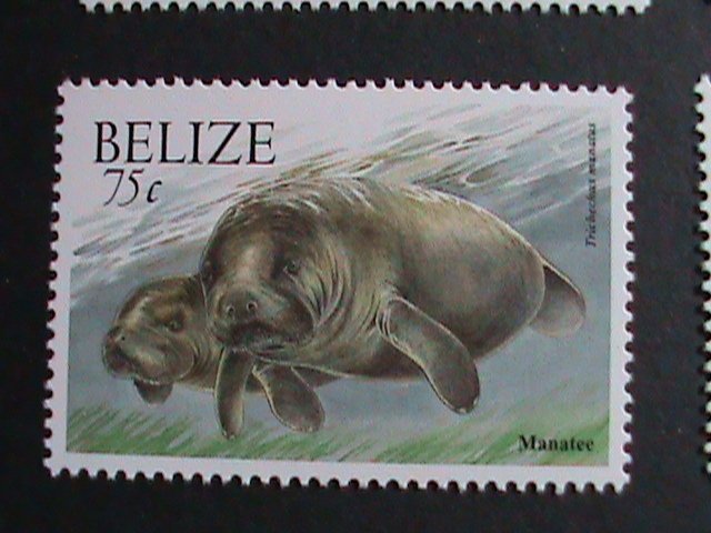 BELIZE-2000-SC#1119-30 BEAUTIFUL LOVELY FAUNA-MNH-COMPLETE SET OF 12 VF