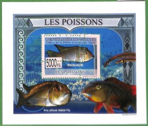 A0554 -  GUINEE Guinea -  ERROR   MISSPERF SHEET - MARINE FAUNA: Fish 2009