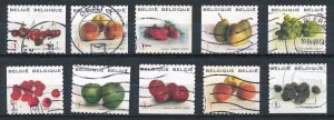 Belgium -  Used Set of Fruits  (2007) 2257