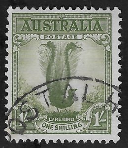 Australia #175 1sh Male Lyrebird