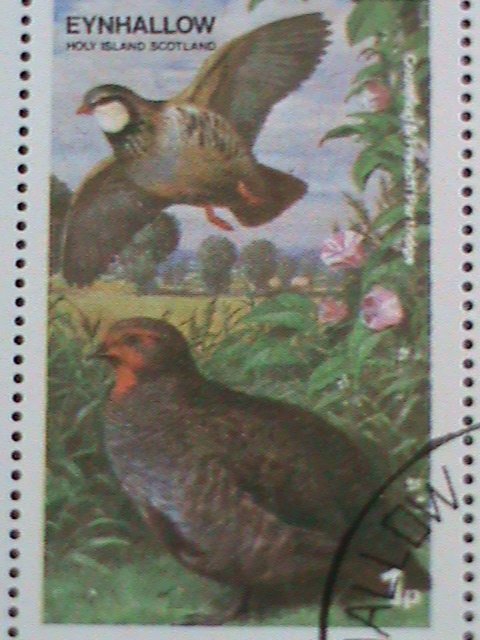 ​EYNHALLOW-SCOTLAND STAMP 1974 COLORFUL LOVELY WORLD BEAUTIFUL BIRDS-CTO-SHEET