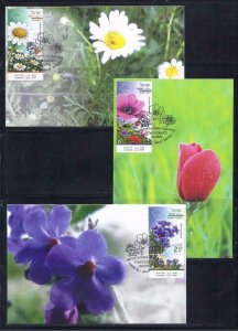 ISRAEL 2015 WINTER FLOWERS 3 STAMPS MAXIMUM CARD FLORA ANEMONE ALKANNA ANTHEMIS