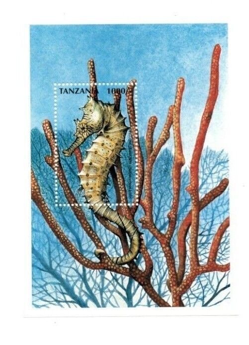 Tanzania 1997 - Marine Life - Sea Horse - Stamp Souvenir Sheet - MNH