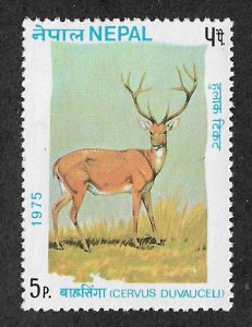 305,MNH