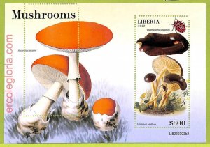 B0546 - LIBERIA - MISPERF ERROR Stamp Sheet - 2022 - Plants, Mushrooms-