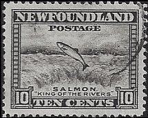 NEWFOUNDLAND #260 USED (1)