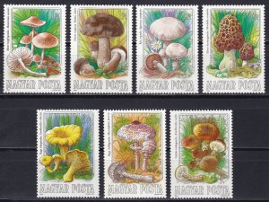 Hungary, Mushrooms  / MNH / 1984