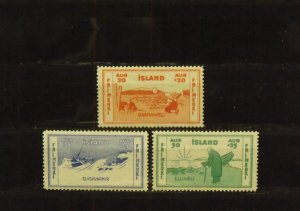 12929   ICELAND   # B2, B3, B4   MH                          CV$ 5.25