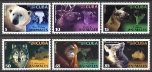 CUBA Sc# 5242-5247  WILD ANIMALS Lion CPL SET of 6   2011  MNH mint