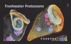 US 5802aa Life Magnified Freshwater Protozoans imperf NDC single MNH 2023