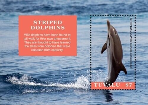 Tuvalu 2019 - Striped Dolphins - Souvenir stamp sheet- MNH