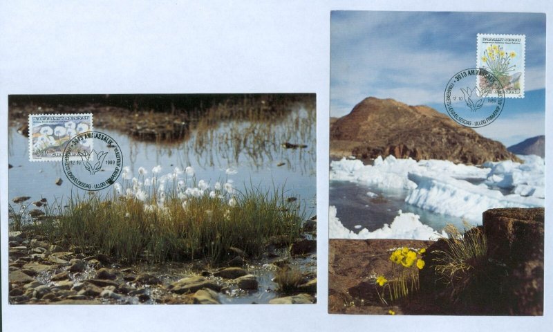 Greenland. 2 FD. 1989  Maximumcard. Plants/Flowers. Scott # 189+196.