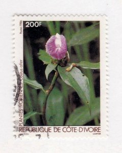 Ivory Coast       775             used