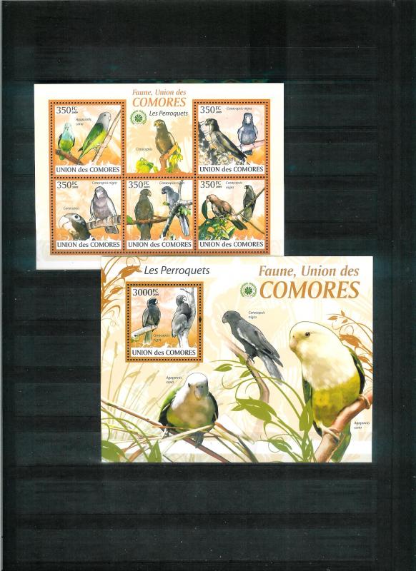 COMORES 2009 - BIRDS - LES PERROQUETS - SHEET & S.S. - MNH