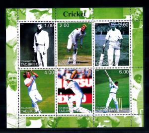 [58041] Tajikistan 2000 Cricket MNH Sheet