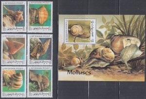 AFGHANISTAN Item # 005 CPL MNH SET of 6 + S/S VARIOUS MOLLUSKS