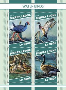 SIERRA LEONE - 2018 - Water Birds - Perf 4v Sheet - Mint Never Hinged