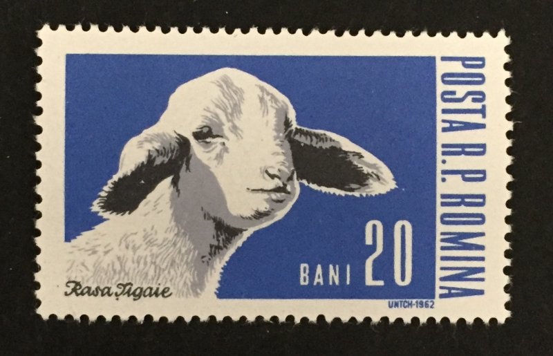 Romania 1962 #1527, Farm Animals, MNH.