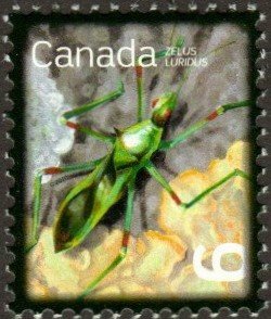 Canada 2407 - Mint-NH - 6c Assassin Bug (2010)