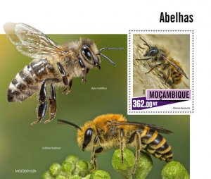 Mozambique Bees Stamps 2020 MNH Mason Honey Bee Insects Fauna 1v S/S