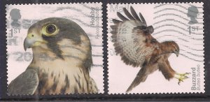 GB 2019 QE2 1st x 2 Birds of Prey Hobby & Buzzard S / A SG 4210 /1 CV £30 ( ...