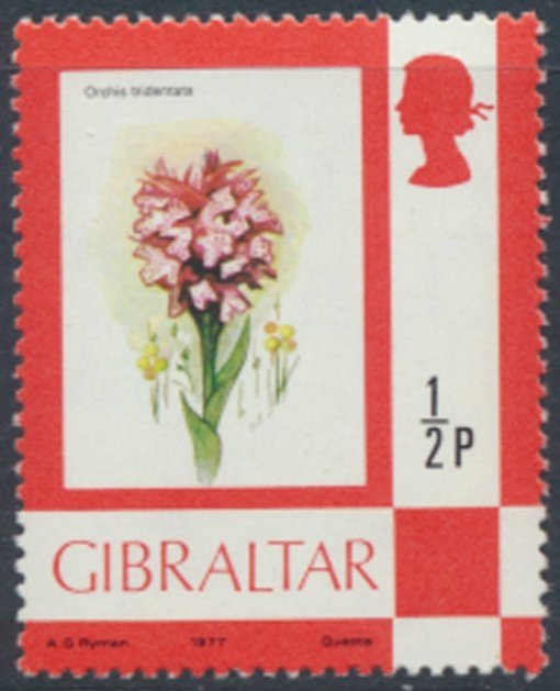 Gibraltar   Sc# 340  MNH Flowers Orchid     see details  / scans