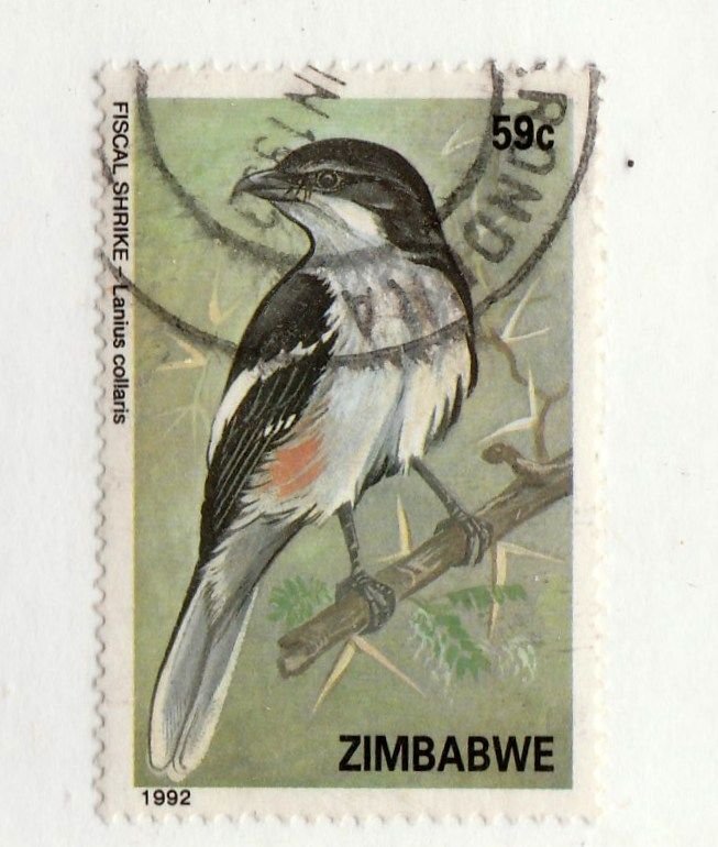 Zimbabwe stamp #665,  used