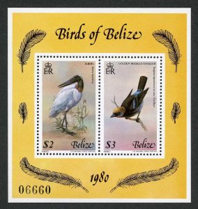 Belize SG MS567 1980 4th series Birds Min sheet Fresh U/M 