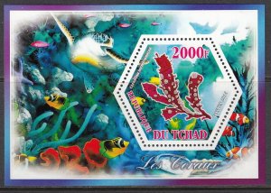 TCHAD CHAD 2014 MARINE FAUNA CORAL REEFS CORAUX [#A209]