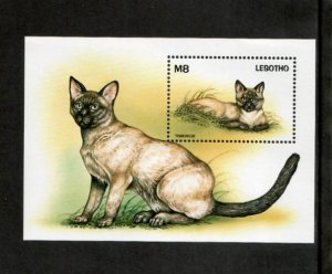 Lesotho 1998 - Cats Pets - Souvenir Stamp Sheet - Scott #1107 - MNH