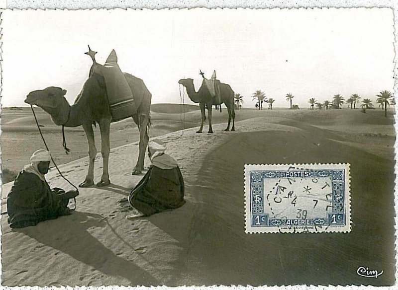 38757  - Algeria - POSTAL HISTORY -  MAXIMUM CARD    1939 : CAMELS & PALM TREES