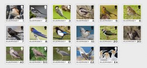 2021 Guernsey Bird Definitives (17)  (Scott 1582-98) MNH