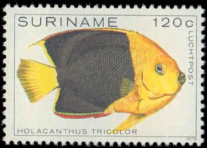 Suriname #530-534, C89-C91, Complete Set(8), 1979, Fish, Never Hinged