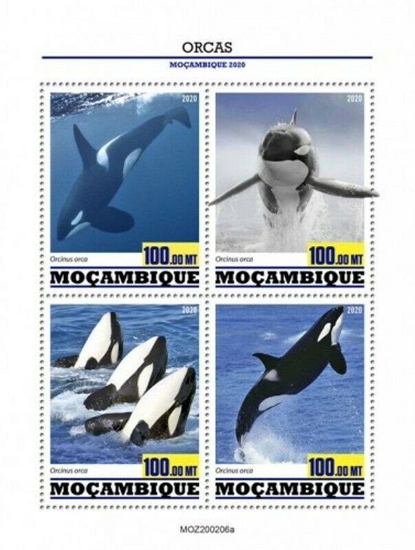 Mozambique - 2020 Orcas Killer Whales - 4 Stamp Sheet - MOZ200206a