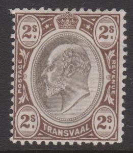 Transvaal 1902 Sc#261 MLH Mint Light Hinge