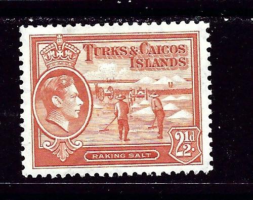 Turks and Caicos Is 83 hinge remnant 1938 Raking Salt