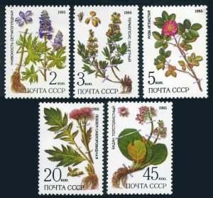 Russia 5379-5383,MNH.Michel 5528-5532. Medicinal plants from Siberia,1985.