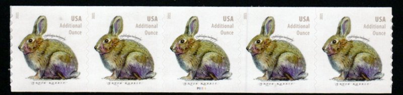 SC# 5545 - (20c) - Additional Ounce - Brush Rabbit, Coil - MNH PNC5